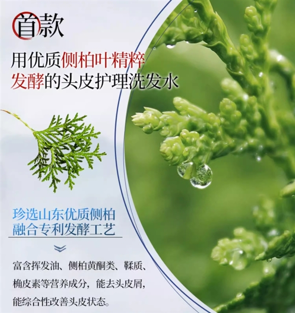 官旗抄底：霸王侧柏叶洗发水29元/瓶（500ml）