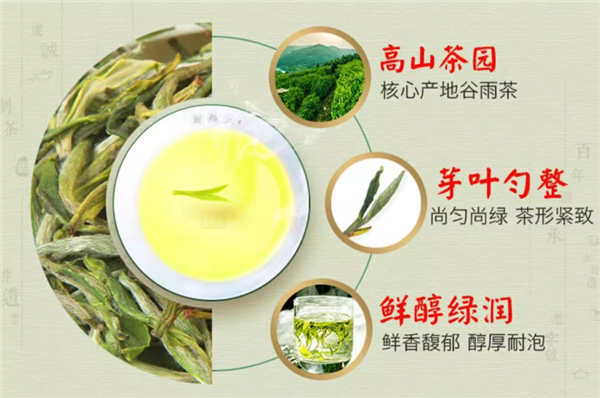 中华老字号:黄山毛峰100g官方9元尝鲜 日常29.9元