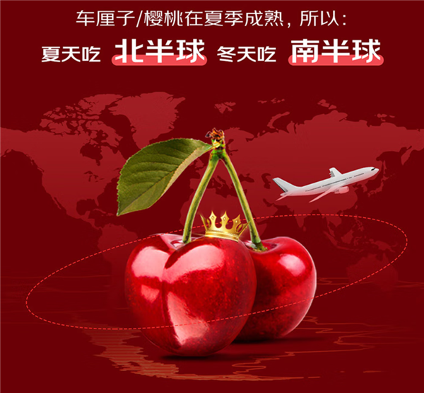 尝鲜:京东自营智利Santina车厘子16.8元/斤 JJJ级37.5元/斤