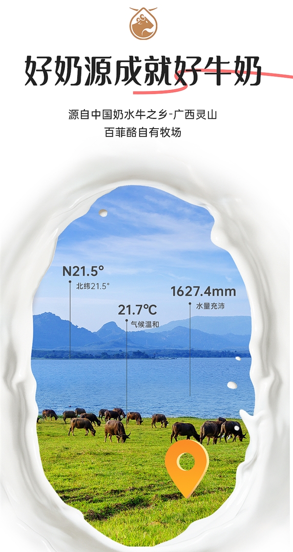 花香+果香+乳香!百菲酪荔枝玫瑰水牛奶2元尝鲜发车