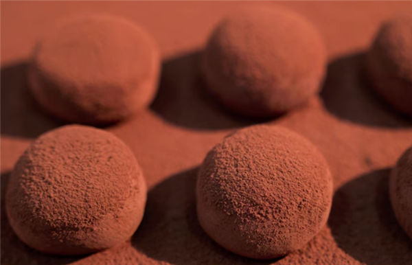 法国法芙娜脆珠：上行斋生巧福团1.3元/枚新低大促