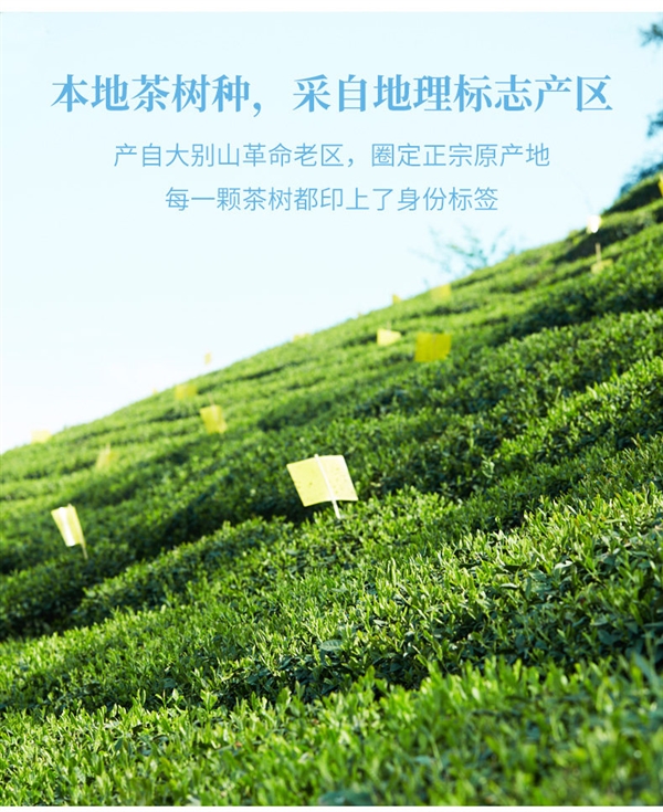 中华老字号！徽六六安瓜片茶大促：券后17.2元到手