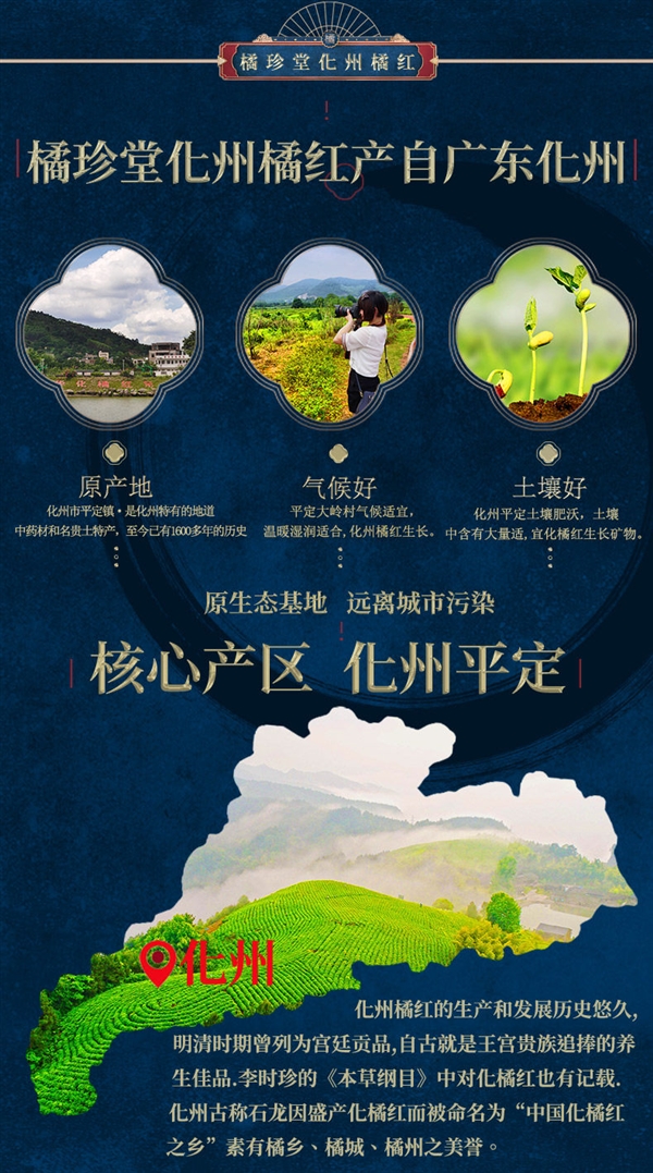 化州老字号：橘珍堂十年陈藏橘红切片100克10元官方大促 