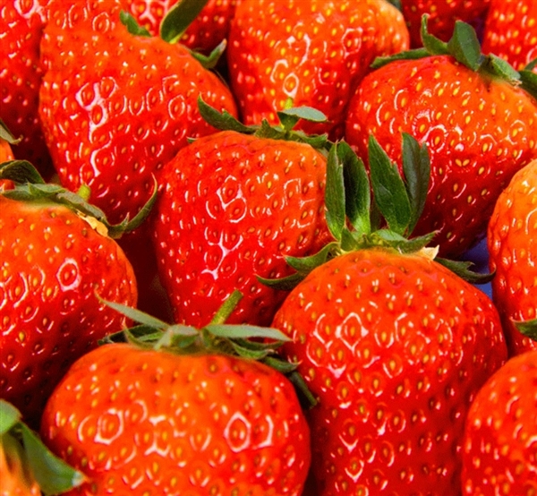 本地都难买到的好价！京东丹东99红颜奶油草莓21.8元/斤秒杀