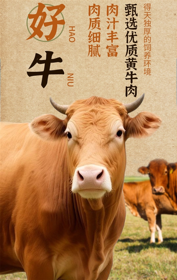 肉含量≥93%:潮谦潮汕牛肉/牛筋丸28.8元2斤大促