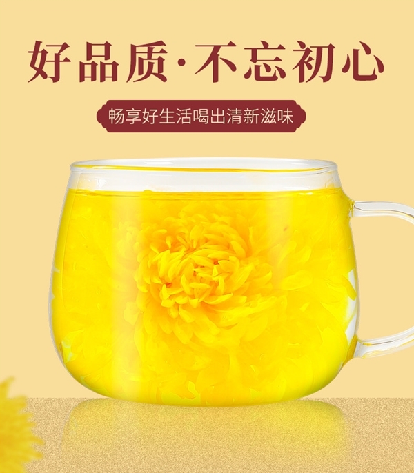 很大一朵、一泡沁心!金丝皇菊50朵5.9元大促速囤