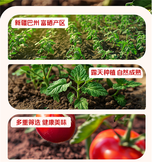 配料只有番茄 茄汁面绝配!新疆番茄酱罐头发车:7.5元