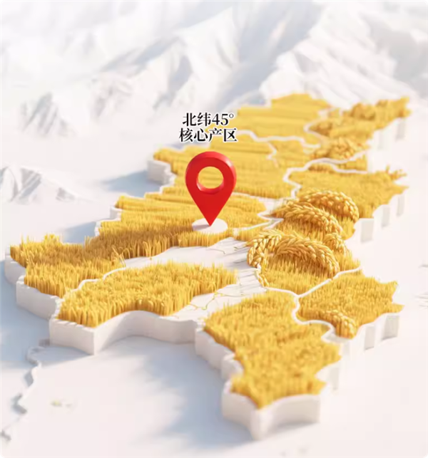 香弹软糯：代府大院五常大米3.3元/斤狂促