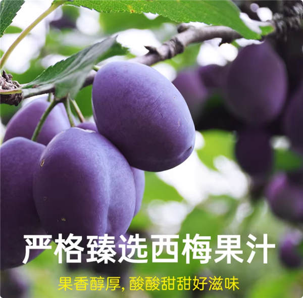 汤臣牧场乳酸菌200ml*10瓶  限时到手19.9元