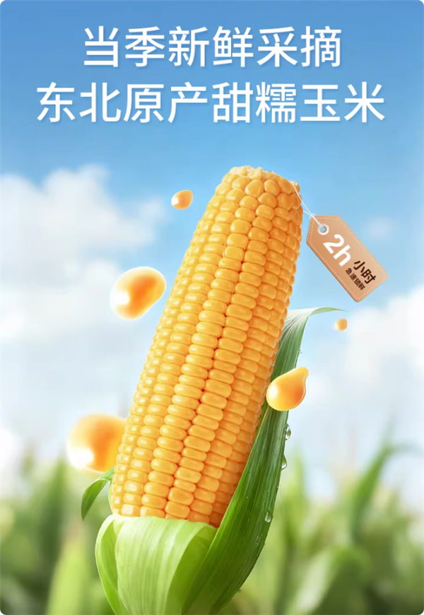 正宗东北玉米 甜度高:啃糯东北黄金糯玉米9.9元5棒大促