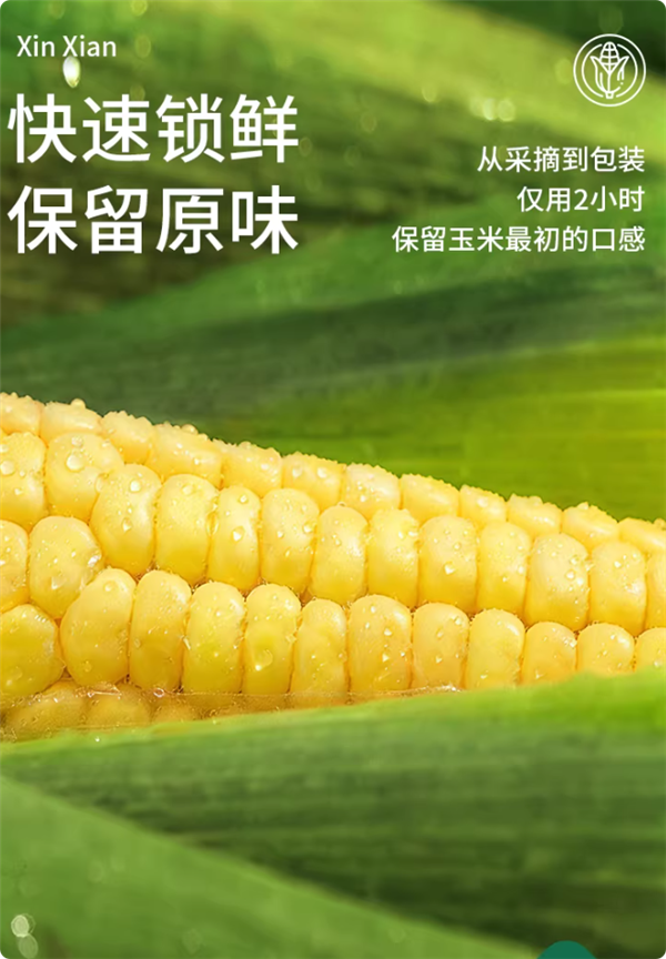 正宗东北玉米 甜度高:啃糯东北黄金糯玉米9.9元5棒大促