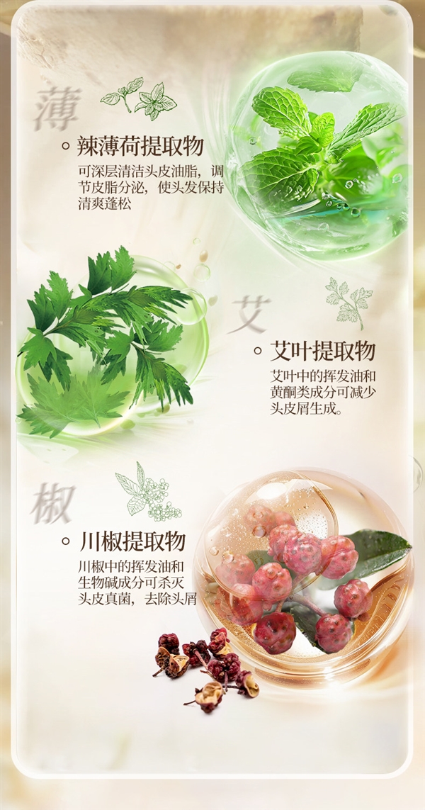 去屑止痒 强韧发丝！霸王生姜洗发水发车：领43元优惠券