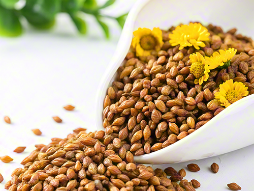 决明子可以搭配什么喝 决明子十大最佳搭配