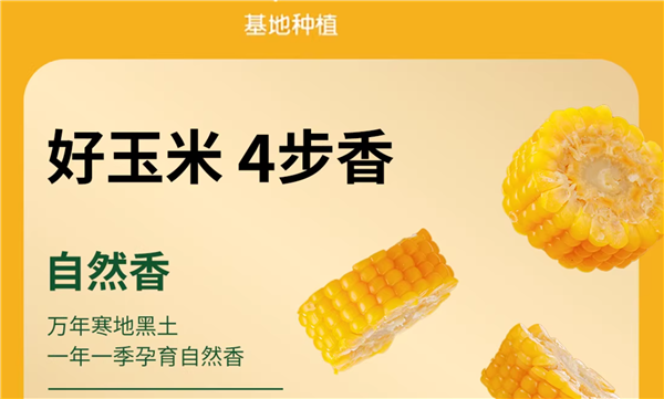 从采摘到装箱不过3小时！东北黄糯玉米到手：8穗16.9元到手