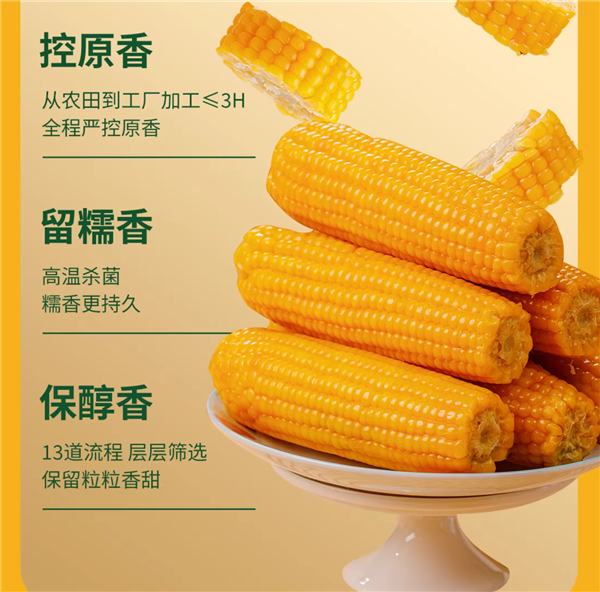 从采摘到装箱不过3小时！东北黄糯玉米到手：8穗16.9元到手
