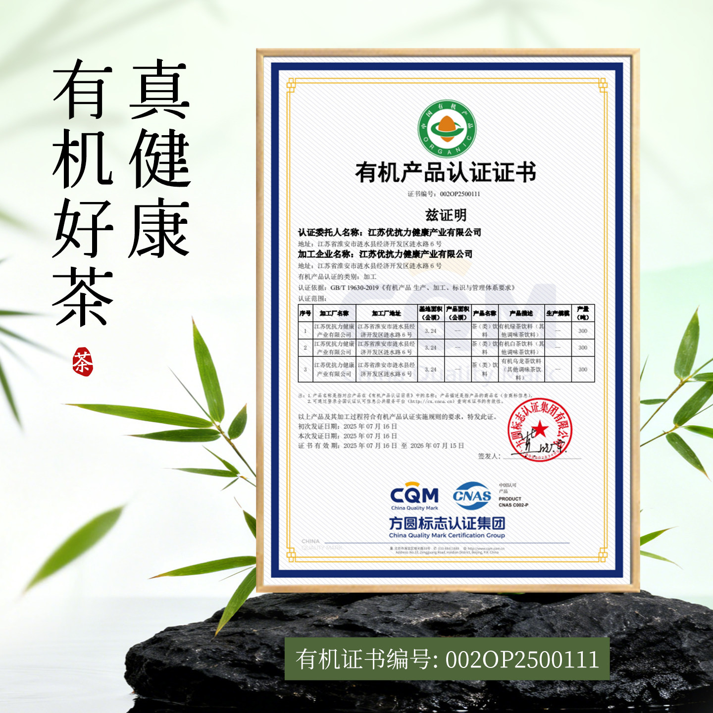 星珀Nebulix有机云顶白茶无糖茶饮料云南纯茶饮品清爽0卡绿茶整箱