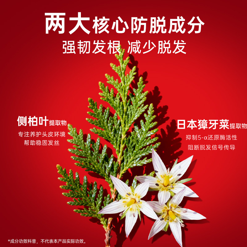 卡蓓诺防脱洗发水固发密发护发蓬松控油精华防脱发洗发露液进口