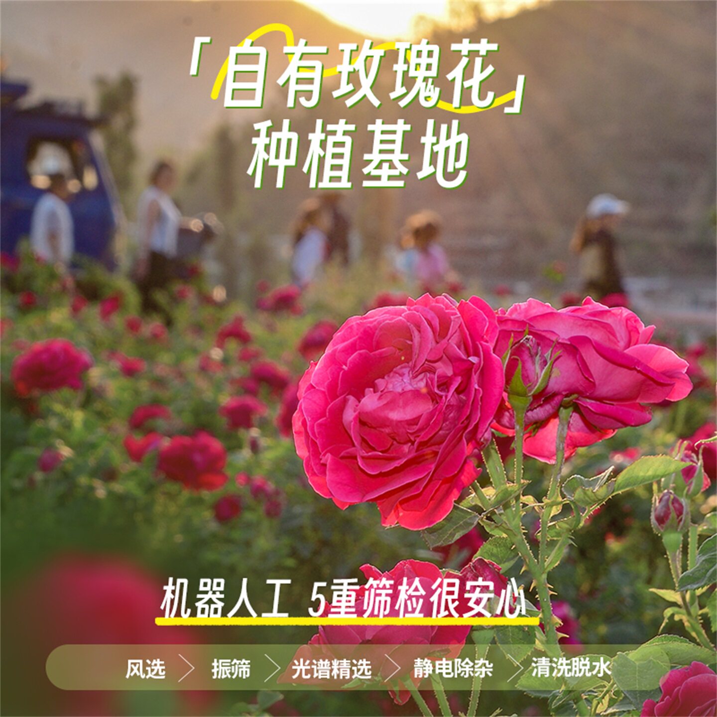 潘祥记玫瑰鲜花饼伴手礼官方旗舰店传统糕点心零食小吃云南特产