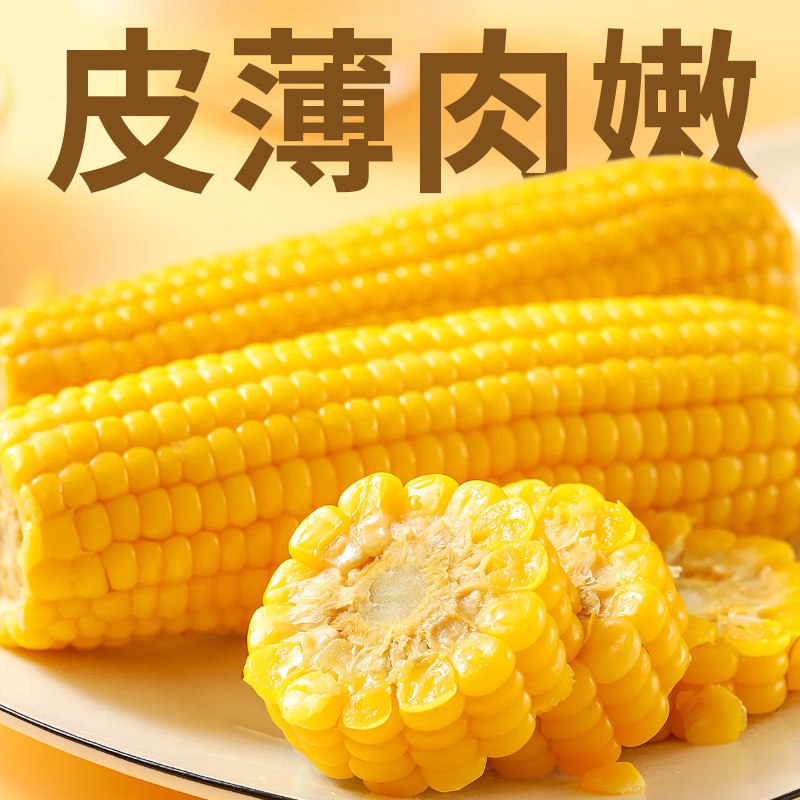 啃糯东北当季新鲜黄糯玉米香甜粘玉米棒现摘真空包装低脂代餐饱腹