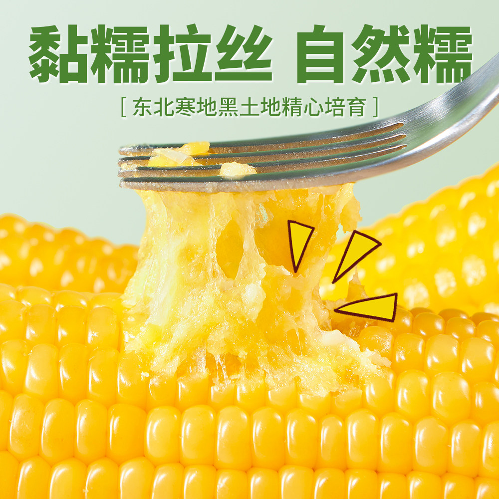 啃糯东北当季新鲜黄糯玉米香甜粘玉米棒现摘真空包装低脂代餐饱腹