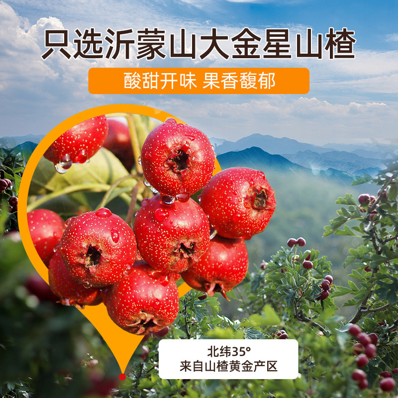 沂蒙公社无添加山楂棒棒糖原味儿童零食独立小包装500g山楂条片卷