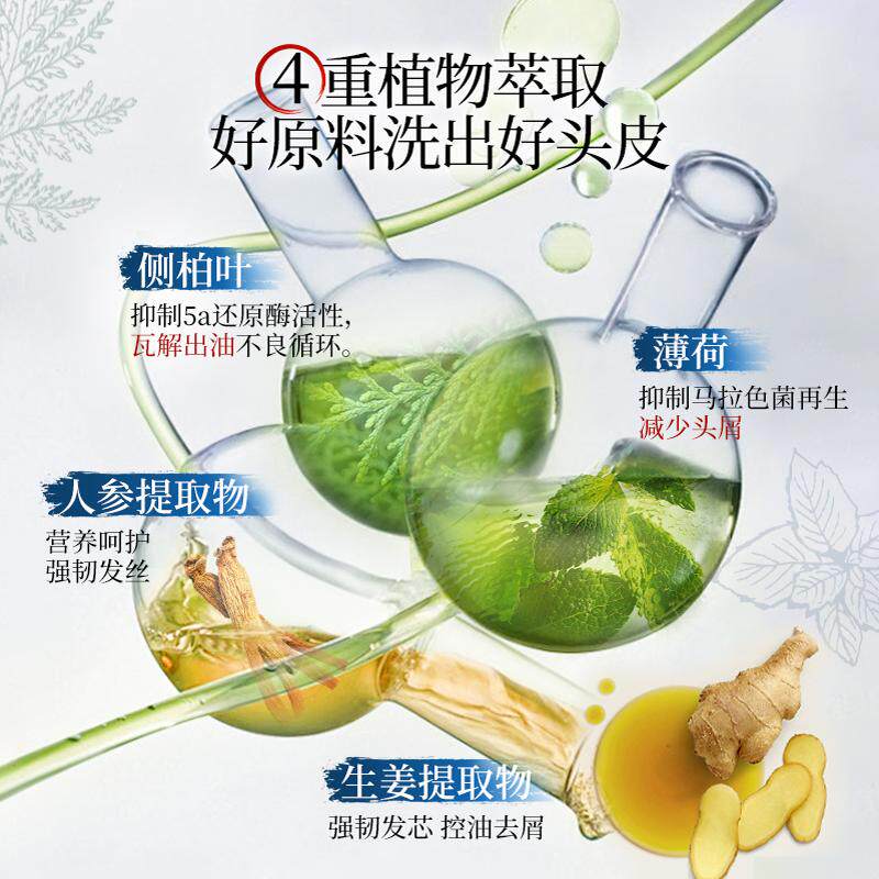 霸王侧柏叶洗发水丰盈强韧控油蓬松去屑洗头膏生姜防断发洗发露