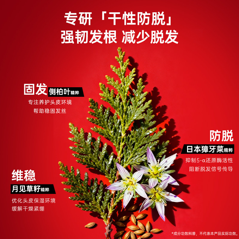 【持证防脱】卡蓓诺防脱洗发水固发密发控油蓬松防脱发洗发露液