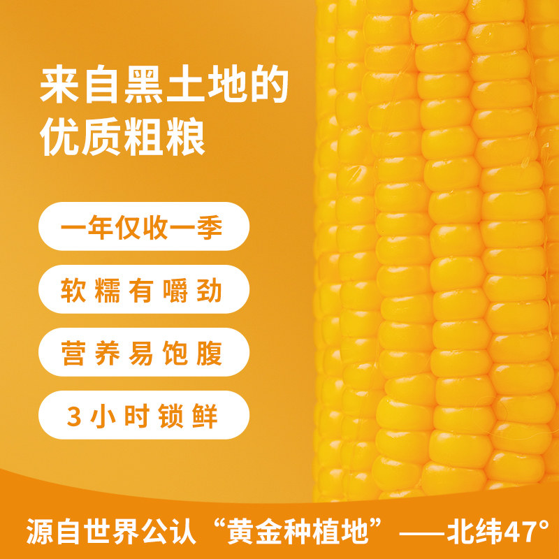 刘老杆东北黄糯玉米新鲜软糯粘苞玉米现摘真空早餐代餐饱腹玉米棒