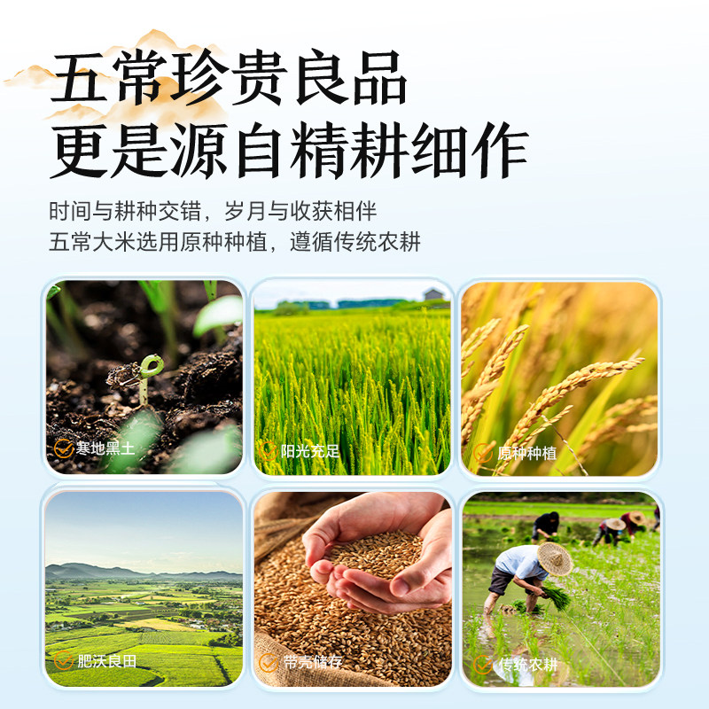 谷殿黑龙江大米五常大米2025新米现货现发东北5kg一年真空优质