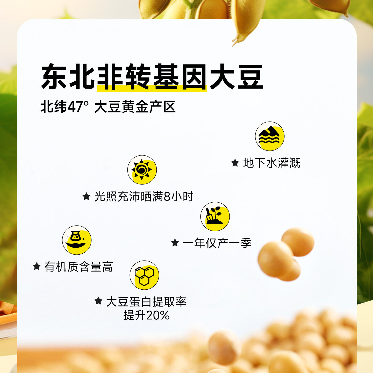 永和豆浆豆奶粉豆奶经典原味510g*2袋冲饮早餐营养非转基因蔗糖