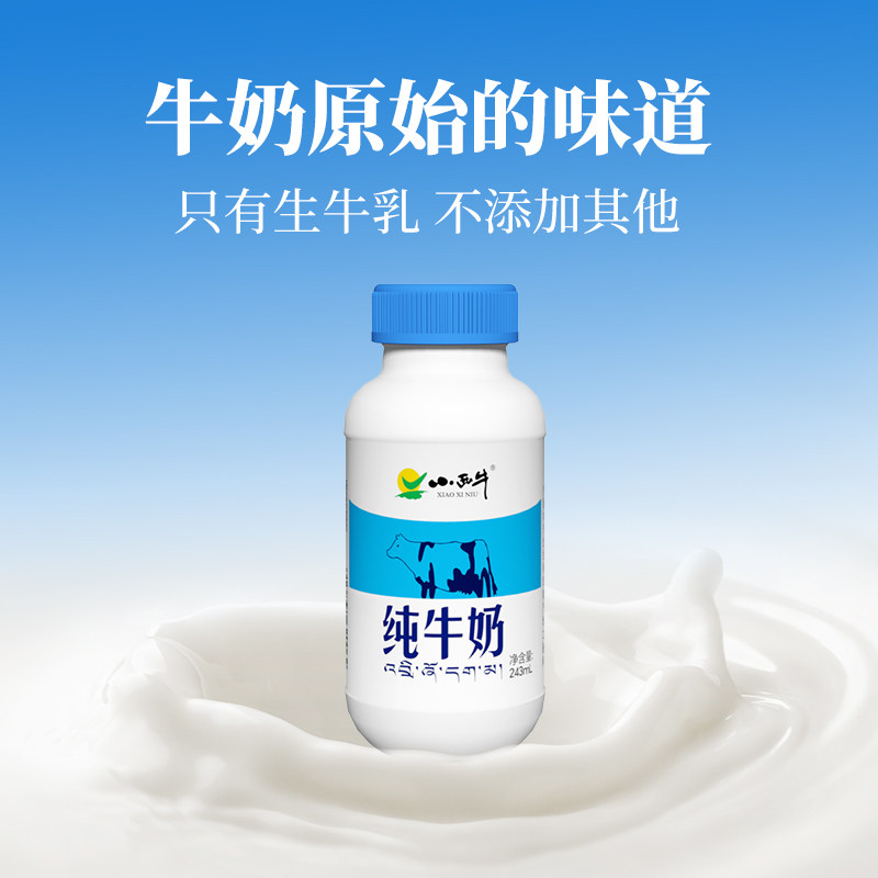 【下拉淘秒】青海小西牛纯牛奶营养早餐小蓝瓶牛奶243ml*12瓶 YT