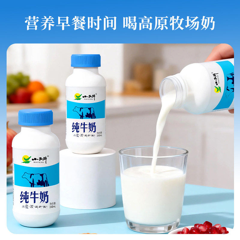 【下拉淘秒】青海小西牛纯牛奶营养早餐小蓝瓶牛奶243ml*12瓶 YT