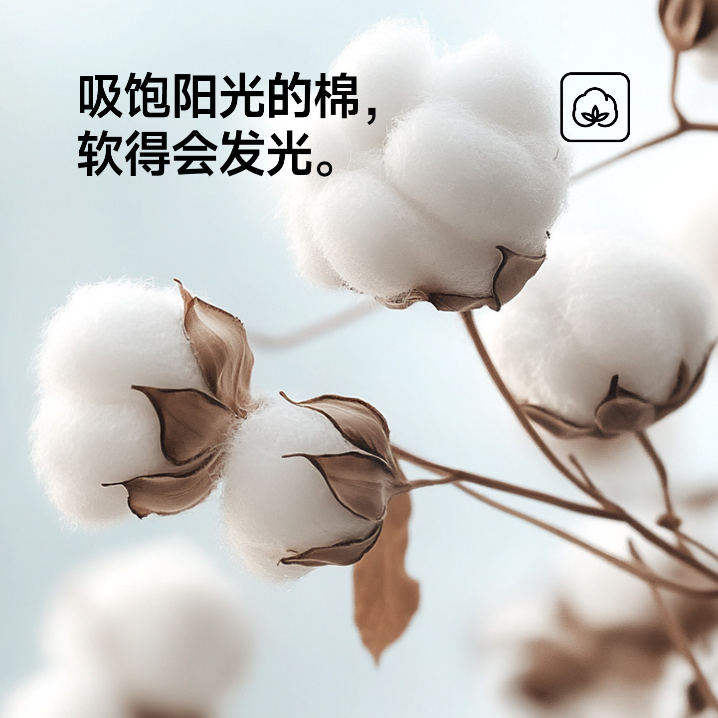 最生活密封纯棉毛巾一次性浴巾一次性压缩毛巾性价比组合装