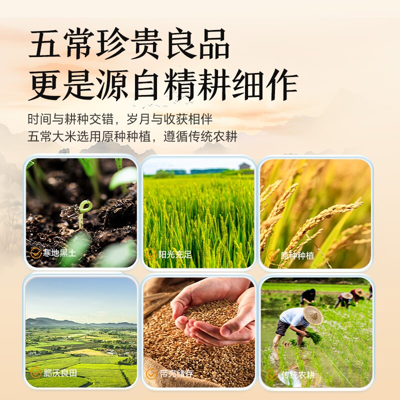五常大米5kg当季新米东北大米优质GB/T19266可饭可粥真空谷米国货