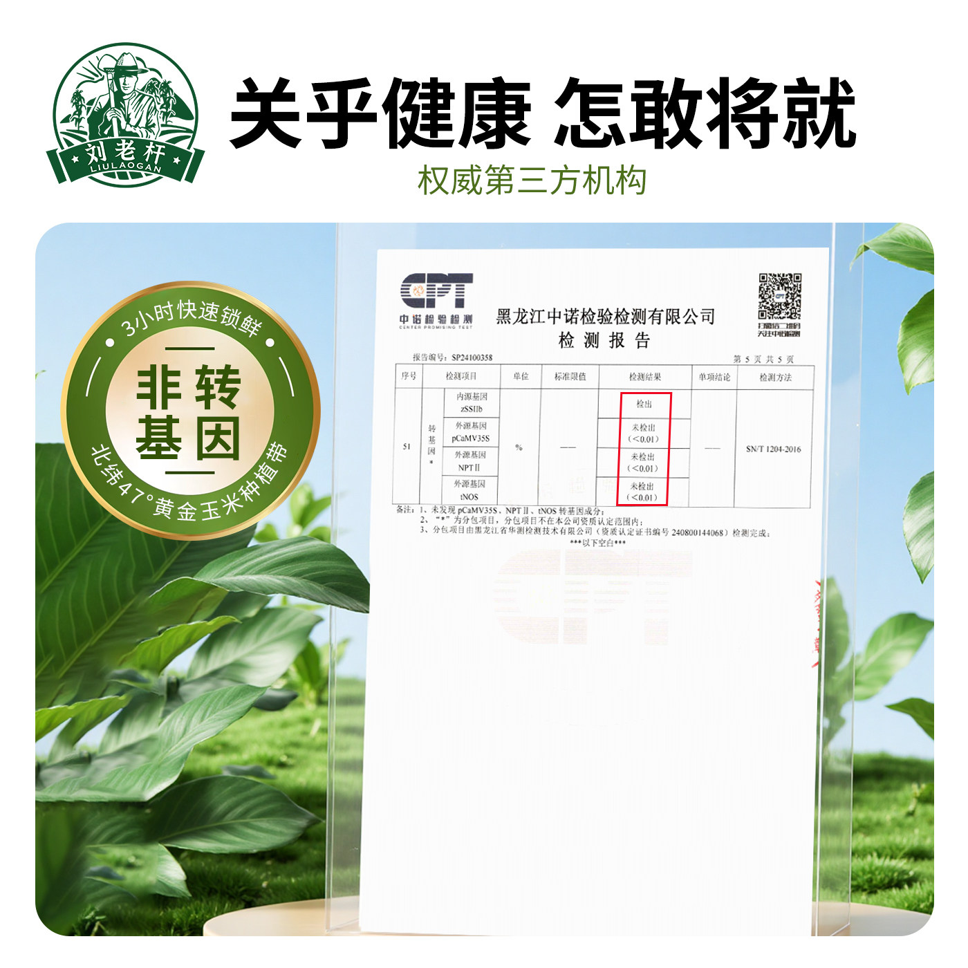 刘老杆东北黑龙江黄糯玉米新鲜软糯粘黏新鲜真空装代餐玉米棒礼盒