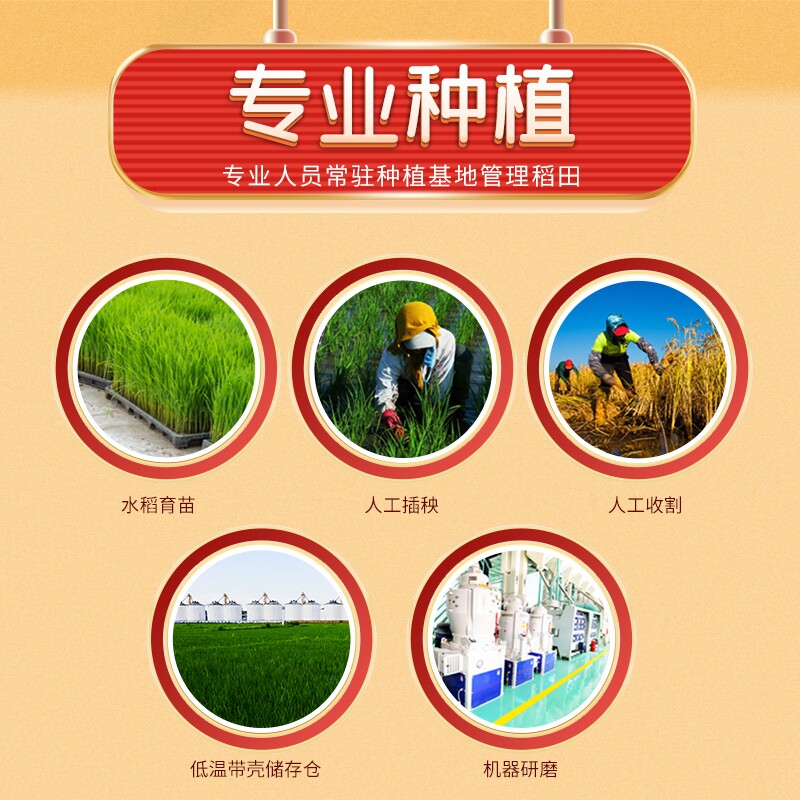 五稻田五常大米东北大米粳米5kg10斤真空当季新米生态米饭一袋