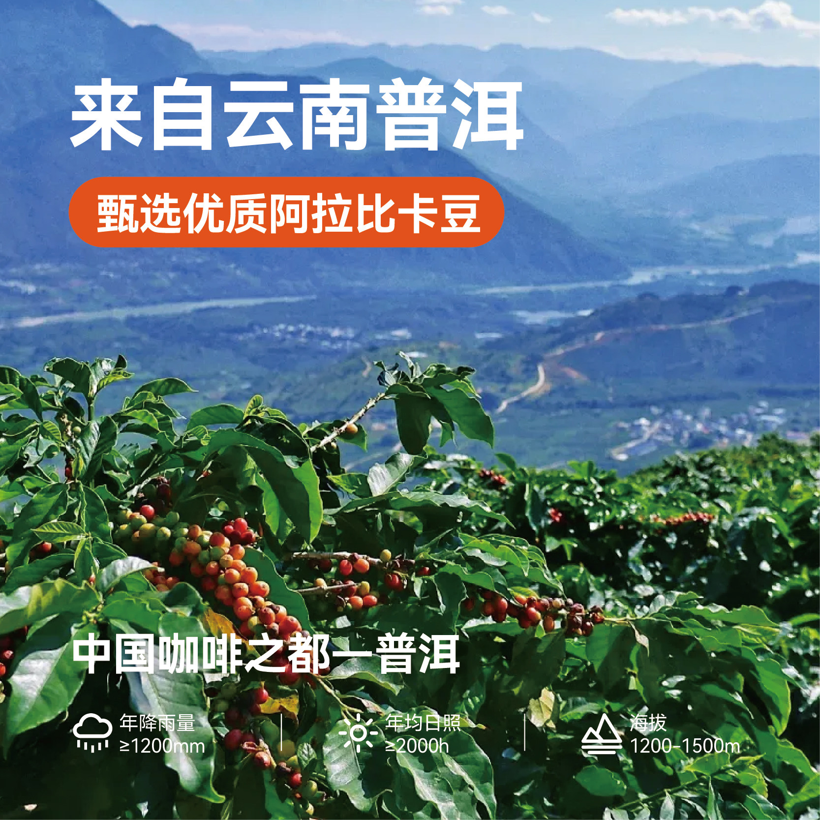 加由咖啡超浓速溶0蔗糖0脂肪云南黑咖啡冷热双泡纯咖啡粉50杯